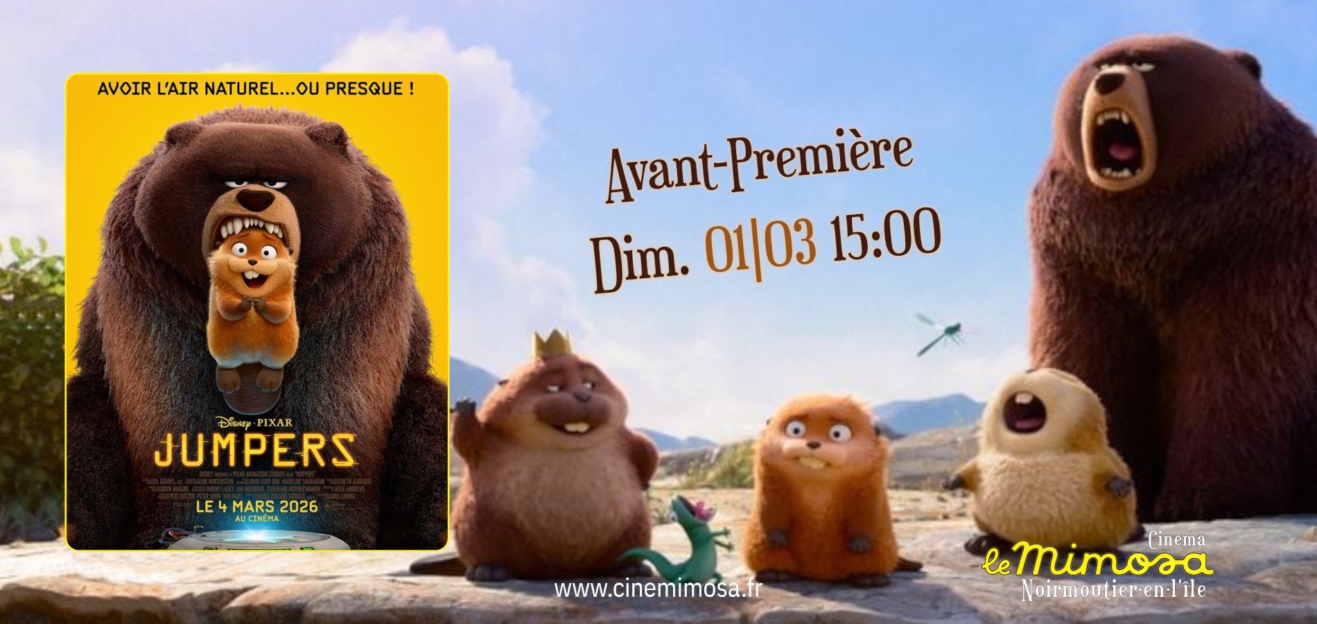 actualité AVP 0301 JUMPERS